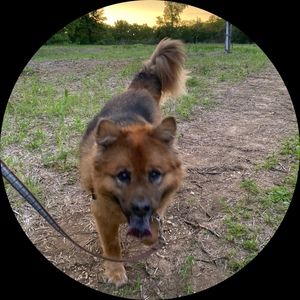 Meet your Posher, Mwontune